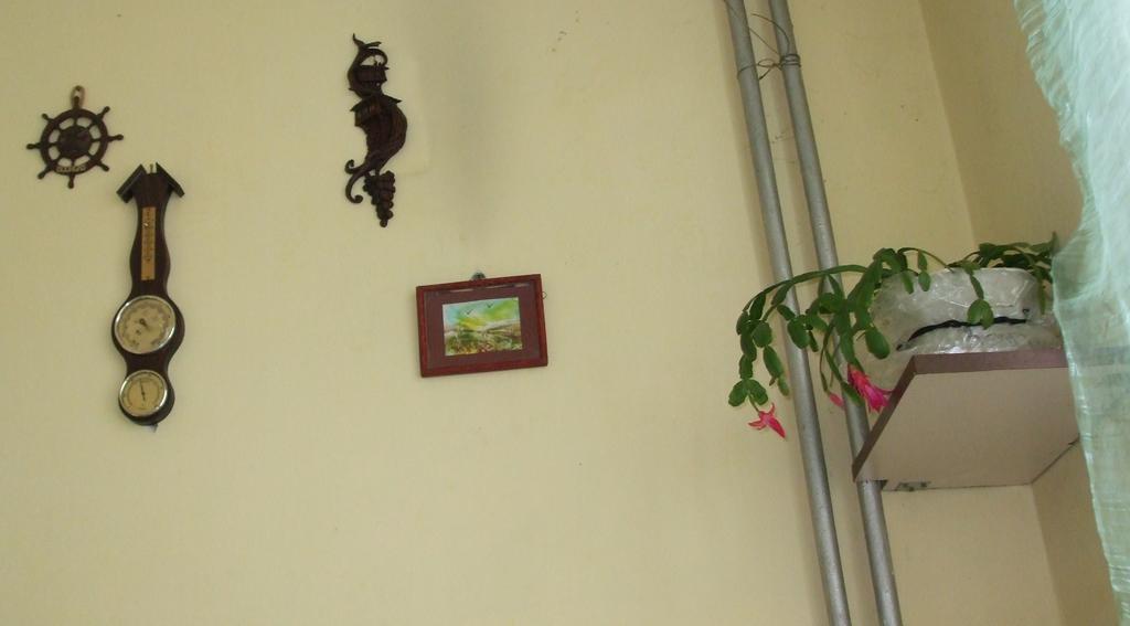 Kamigs Rooms Sofya Oda fotoğraf